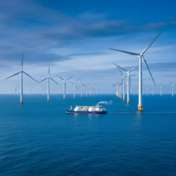 New Energy and Decarbonisation